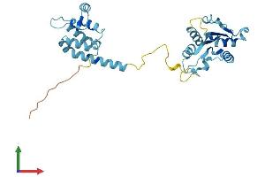 AlphaFold protein structure predicition of Human Recombinant MYD88 Protein, UniprotID Q99836