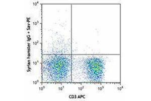Flow Cytometry (FACS) image for anti-CD28 (CD28) antibody (Biotin) (ABIN2661030) (CD28 抗体  (Biotin))