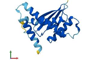 Protein Structure (PS) image for Trafficking Protein Particle Complex 6B (TRAPPC6B) (AA 1-158) protein (His tag) (ABIN7560903)