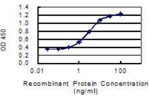 Detection limit for recombinant GST tagged AVPI1 is 0. (AVPI1 抗体  (AA 1-147))