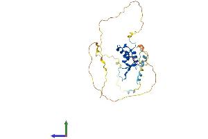 Protein Structure (PS) image for Forkhead Box E3 (FOXE3) (AA 1-288) protein (His tag) (ABIN7561772)