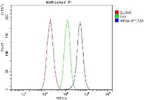 Flow Cytometry analysis of U87 cells using anti-HIF3A antibody (ABIN7601137).