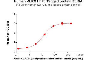 ELISA plate pre-coated by 2 μg/mL (100 μL/well) Human K Protein, hFc Tag(ABIN6964166, ABIN7042495 and ABIN7042496) can bind Anti-K(ulviprubart biosimilar) mAb in a linear range of 3.