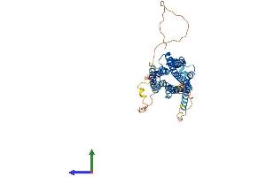 Protein Structure (PS) image for Arginine Vasopressin Receptor 1B (AVPR1B) (AA 1-424) protein (His tag) (ABIN7545012)