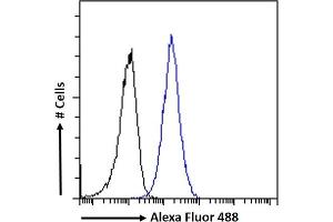 Flow Cytometry (FACS) image for anti-Retinol Dehydrogenase 5 (11-Cis/9-Cis) (RDH5) (AA 19-31) antibody (ABIN571175)