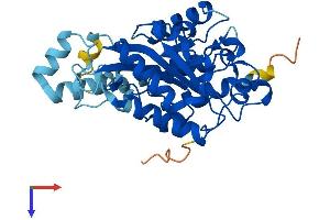 Phosphatidylinositol-Specific Phospholipase C, X Domain Containing 3 (PLCXD3) (AA 1-321) protein (His tag)