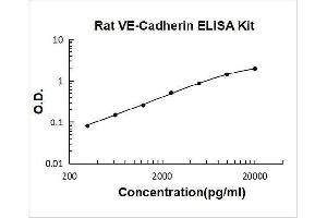 Cadherin 5 (CDH5) ELISA Kit