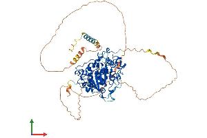 Protein Structure (PS) image for ST6 (Alpha-N-Acetyl-Neuraminyl-2,3-beta-Galactosyl-1,3)-N-Acetylgalactosaminide alpha-2,6-Sialyltransferase 1 (ST6GALNAC1) (AA 1-600) protein (His tag) (ABIN7546000)