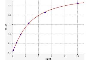 GSK3 alpha ELISA 试剂盒