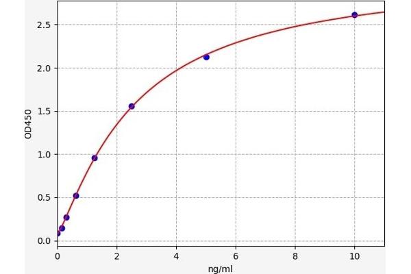 GSK3 alpha ELISA 试剂盒