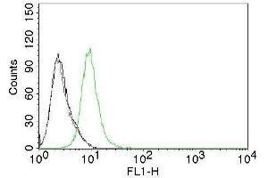 Flow Cytometry of human p27 on Jurkat cells. (CDKN1B 抗体)
