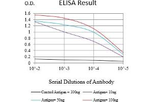 Black line: Control Antigen (100 ng),Purple line: Antigen (10 ng), Blue line: Antigen (50 ng), Red line:Antigen (100 ng) (CEACAM3 抗体  (AA 35-155))