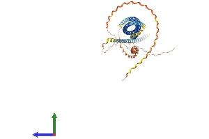 AlphaFold protein structure predicition of Human Recombinant SCARA3 Protein, UniprotID Q6AZY7