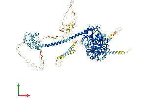 Protein Structure (PS) image for IQ Motif Containing H (IQCH) (AA 1-1027) protein (His tag) (ABIN7554211)