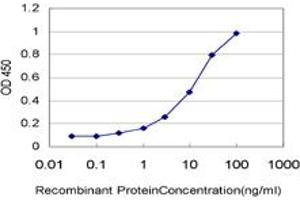 Detection limit for recombinant GST tagged ARHGEF1 is approximately 0. (ARHGEF1 抗体  (AA 830-927))