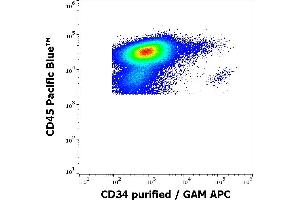 Flow cytometry multicolor surface staining of human peripheral blood stained using anti-human CD34 (QBEnd-10) purified antibody (concentration in sample 0,6 μg/mL, GAM APC, red-filled) and anti-human CD45 (MEM-28) Pacific Blue antibody (10 μL reagent / 100 μL of peripheral whole blood). (CD34 抗体)
