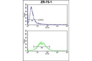 Flow Cytometry (FACS) image for anti-Colony Stimulating Factor 3 Receptor (Granulocyte) (CSF3R) (AA 259-288), (Middle Region) antibody (ABIN951155)