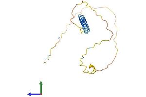 Protein Structure (PS) image for Cell Cycle Exit and Neuronal Differentiation 1 (CEND1) (AA 1-149) protein (His tag) (ABIN7561629)
