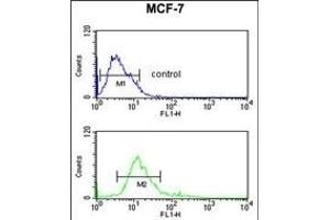 IDH2 Antibody (Center) (ABIN391584 and ABIN2841516) flow cytometric analysis of MCF-7 cells (bottom histogram) coared to a negative control cell (top histogram). (IMPDH2 抗体  (AA 180-210))