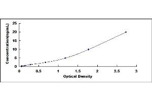 Typical standard curve (RBP4 ELISA 试剂盒)