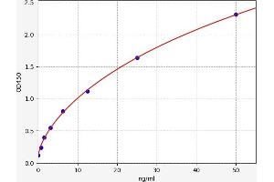 Typical standard curve (PORCN ELISA 试剂盒)