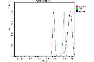 Flow Cytometry analysis of U87 cells using anti-TJAP1 antibody (ABIN7600200).