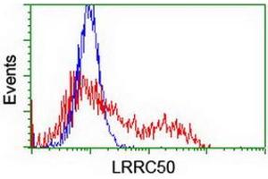 Flow Cytometry (FACS) image for anti-Leucine Rich Repeat Containing 50 (LRRC50) antibody (ABIN1499205) (LRRC50 抗体)