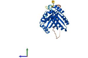 Protein Structure (PS) image for Glioblastoma Amplified Sequence (GBAS) (AA 1-281) protein (His tag) (ABIN7562486)
