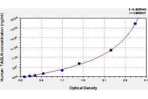 Typical Standard Curve (Transgelin ELISA 试剂盒)