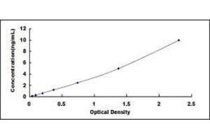 Typical standard curve (HMGN1 ELISA 试剂盒)
