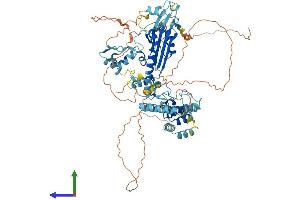 Protein Structure (PS) image for Ankyrin Repeat and Zinc Finger Domain Containing 1 (ANKZF1) (AA 1-748) protein (His tag) (ABIN7558341)