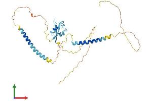 Protein Structure (PS) image for LysM, Putative Peptidoglycan-Binding, Domain Containing 3 (LYSMD3) (AA 1-305) protein (His tag) (ABIN7560364)
