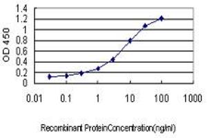 Detection limit for recombinant GST tagged HYI is approximately 0. (HYI 抗体  (AA 1-217))