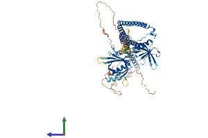 Protein Structure (PS) image for Adaptor Protein, phosphotyrosine Interaction, PH Domain and Leucine Zipper Containing 2 (APPL2) (AA 1-662) protein (His tag) (ABIN7559549)