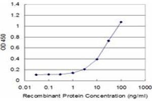 Detection limit for recombinant GST tagged PRODH is approximately 1ng/ml as a capture antibody. (PRODH 抗体  (AA 441-540))