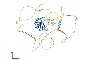 AlphaFold protein structure predicition of Human Recombinant NAF1 Protein, UniprotID Q96HR8