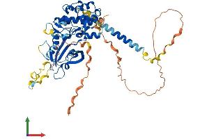 Protein Structure (PS) image for Protein Kinase, Membrane Associated tyrosine/threonine 1 (PKMYT1) (AA 1-490) protein (His tag) (ABIN7561468)