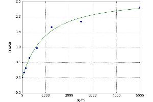 RNA Binding Motif Protein 3 (RBM3) ELISA Kit