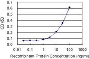 Detection limit for recombinant GST tagged GALNT13 is 1 ng/ml as a capture antibody. (GALNT13 抗体  (AA 47-151))
