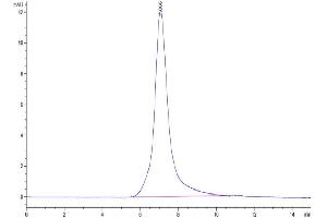 Size-exclusion chromatography-High Pressure Liquid Chromatography (SEC-HPLC) image for Chondroitin Sulfate Proteoglycan 5 (Neuroglycan C) (CSPG5) (AA 31-423) protein (His tag) (ABIN7275645)
