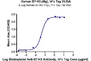 ELISA image for CD276 (CD276) (AA 27-461) protein (Fc Tag) (ABIN7273957)