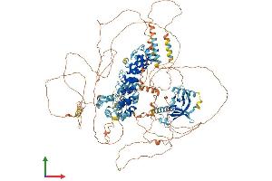 Protein Structure (PS) image for Ankyrin Repeat and Sterile alpha Motif Domain Containing 1B (ANKS1B) (AA 1-1259) protein (His tag) (ABIN7564368)