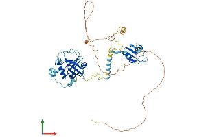 Protein Structure (PS) image for Peptidylprolyl Isomerase (Cyclophilin)-Like 4 (PPIL4) (AA 1-492) protein (His tag) (ABIN7560718)