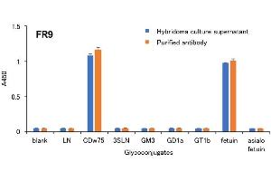 Specificity analysis of clone FR9 for its antigens using ELISA The specificity of clone FR9 was examined by ELISA using microplates coated with various glycoconjugates. (ST6GAL1 抗体)