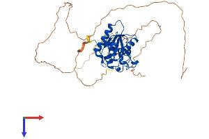 DUSP11 Protein (AA 1-330) (His tag)
