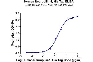ELISA image for Neuropilin 1 (NRP1) (AA 22-644) protein (His tag) (ABIN7275369)