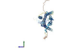 AlphaFold protein structure predicition of Human Recombinant S1PR2 Protein, UniprotID O95136
