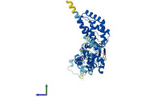 Protein Structure (PS) image for Origin Recognition Complex, Subunit 4 (ORC4) (AA 1-433) protein (His tag) (ABIN7562655)