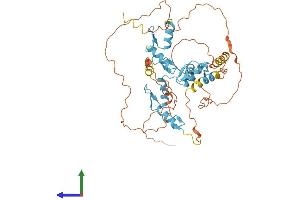 AlphaFold protein structure predicition of Mouse Recombinant Fezf2 Protein, UniprotID Q9ESP5