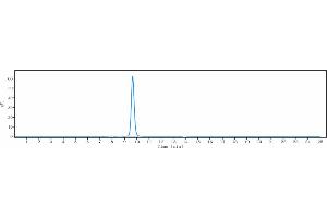 anti-CEACAM5 (Labetuzumab Biosimilar) antibody